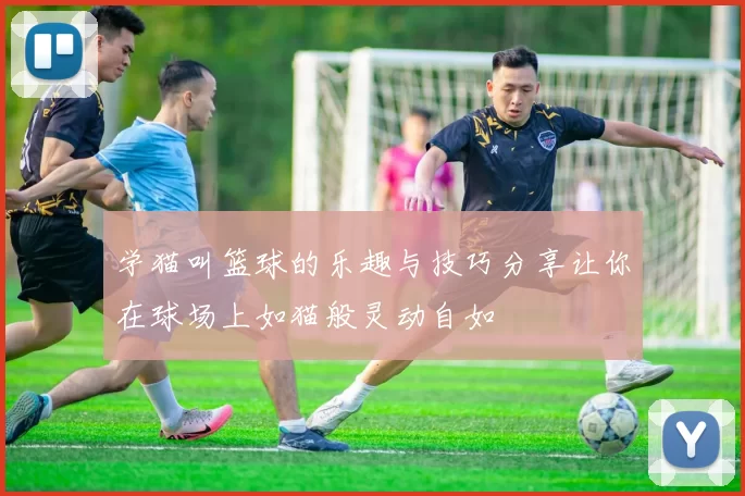 学猫叫篮球的乐趣与技巧分享让你在球场上如猫般灵动自如